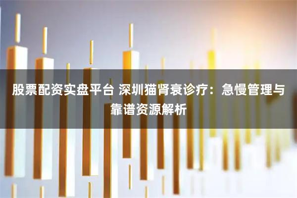 股票配资实盘平台 深圳猫肾衰诊疗：急慢管理与靠谱资源解析